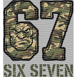 sixty seven-SS 248